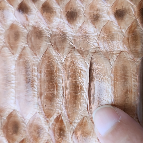 Ambre Babzoe Genuine Python Snakeskin Purse - Picture 6 of 12